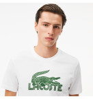 LACOSTE BIG LOGO CORE PERFORMANCE
