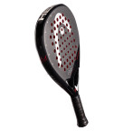 Head Coello Motion 2025