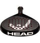 Head Coello Motion 2025