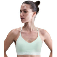 Nike Indy Light Support