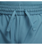 Nike Dri-Fit Multi+ Training Shorts