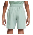 Nike Dri-Fit Multi+ Training Shorts