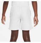 Nike Dri-Fit Multi+ Training Shorts