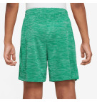 Nike Kids Dri-FIT Multi Big Training