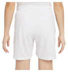 Nike Boys Multi Dri-FIT