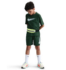 Nike Boys Multi Dri-FIT